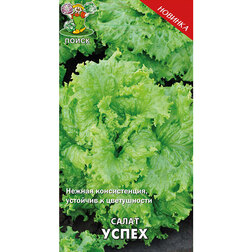 ������ ������ ����� �����   ����