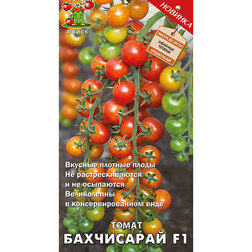 ������ ������ ����� ���������� F1   ����