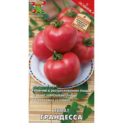 ������ ������ ����� ���������   ����