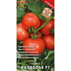 ������ ������ ����� �������� F1   ����