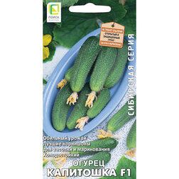 ������ ������ ������ ��������� F1 (��������� �����)   ����