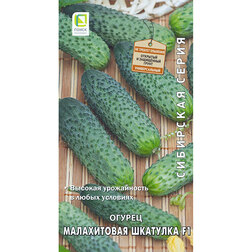 ������ ������ ������ ����������� �������� F1 (��������� �����)   ����