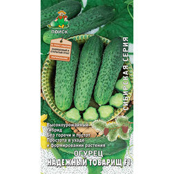 ������ ������ ������ �������� ������� F1 (��������� �����)   ����