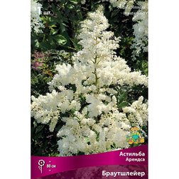 ������ ������ �������� ������� (�����������)   ����