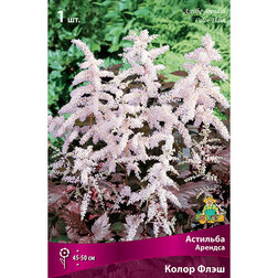 ������ ������ �������� ������� ����� ����   ����