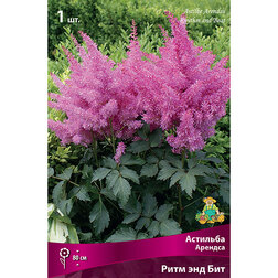 ������ ������ �������� ������� ���� ��� ���   ����