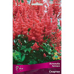 ������ ������ �������� ������� �������   ����