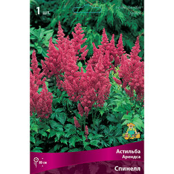 ������ ������ �������� ������� �������   ����