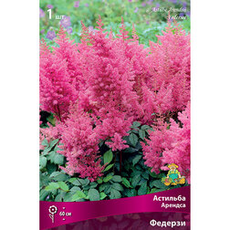 ������ ������ �������� ������� �������   ����