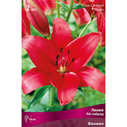 ������ ������ ����� ��-������ ������ (2 ��.)   ����