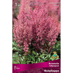 ������ ������ �������� ��������� ���������   ����