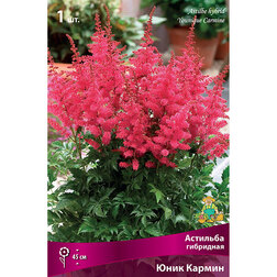 ������ ������ �������� ��������� (���� ������)   ����