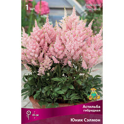 ������ ������ �������� ��������� ���� ������   ����