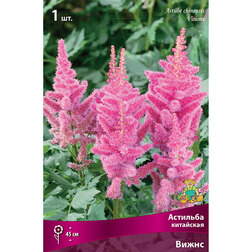 ������ ������ �������� ��������� �����   ����