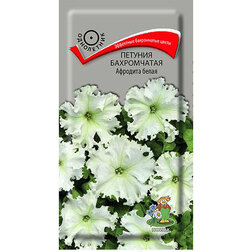 ������ ������ ������� ����������� �������� �����   ����