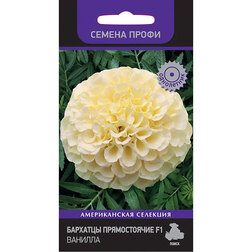 ������ ������ �������� ������������ F1 ������� (������ �����)   ����