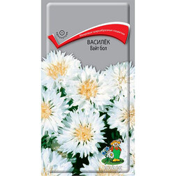 ������ ������ ������ ���� ���   ����