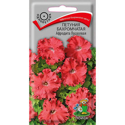 ������ ������ ������� ����������� �������� ���������   ����