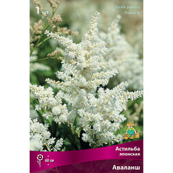 ������ ������ �������� �������� �������   ����