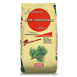 ������ ������ ����� ��� �������