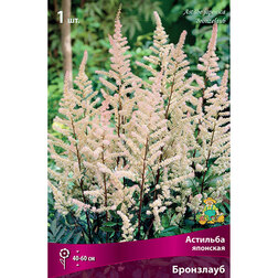 ������ ������ �������� �������� ���������   ����