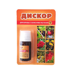 ������ ������ ������ (10��.) ( ���. ����,�����,) �������!   ����