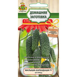 ������ ������ ������ ������-��������� F1 (�������� ���������)   ����