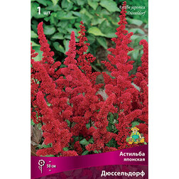 ������ ������ �������� �������� �����������   ����