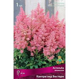 ������ ������ �������� �������� ������ ��� �������   ����