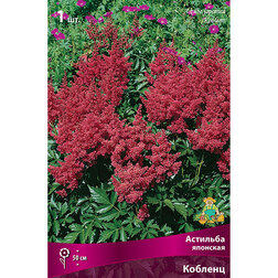 ������ ������ �������� �������� �������   ����