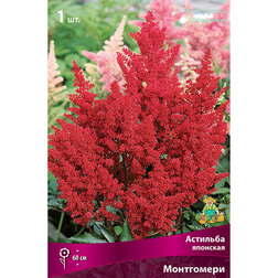 ������ ������ �������� �������� ����������   ����