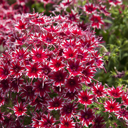 ������ ������ ����� �������� ��� (1��-1000��)   ����