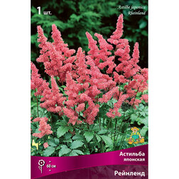 ������ ������ �������� �������� ��������   ����