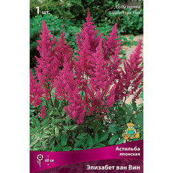 ������ ������ �������� �������� �������� ��� ���   ����