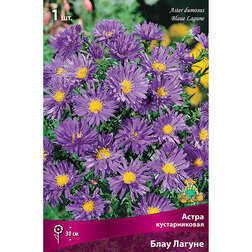 ������ ������ ����� ������������� ���� ������   ����