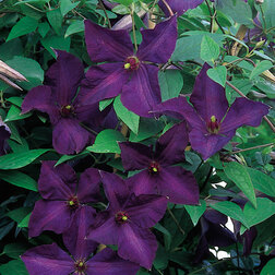 ������ ������ �������� ��������������� ����� ������   ����