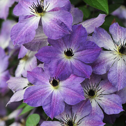 ������ ������ �������� ��������������� ����������   ����