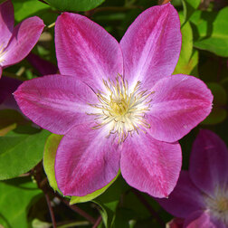 ������ ������ �������� ��������������� ������ �� ����   ����