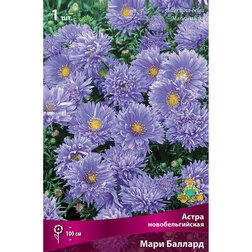 ������ ������ ����� ��������������� ���� �������   ����