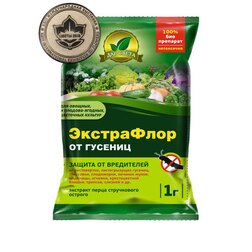 ������ ������ ���������� �� ������� (1��)   ����