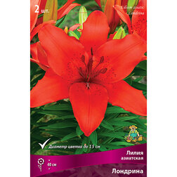 ������ ������ ����� ��������� �������� (2 ��.)   ����