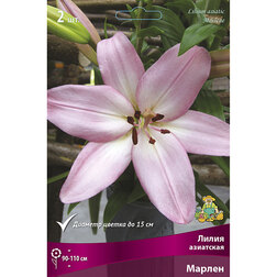 ������ ������ ����� ��������� ������ (2 ��.)   ����