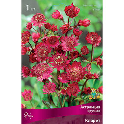 ������ ������ ��������� ������� ������   ����