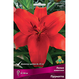 ������ ������ ����� ��������� �������� (2 ��.)   ����