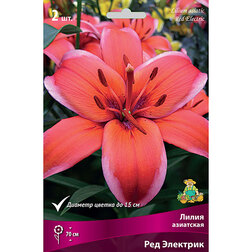 ������ ������ ����� ��������� ��� �������� (2 ��.)   ����