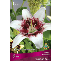 ������ ������ ����� ��������� ������� ���� (2 ��.)   ����