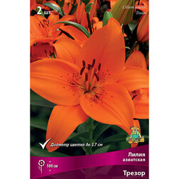 ������ ������ ����� ��������� ������ (2 ��.)   ����