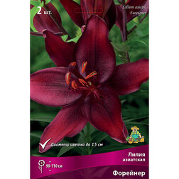 ������ ������ ����� ��������� �������� (2 ��.)   ����