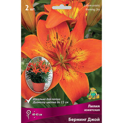 ������ ������ ����� ��������� ��������� ������� ���� (2 ��.)   ����