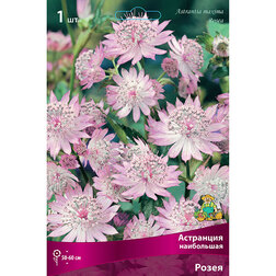 ������ ������ ��������� ���������� ����� (�����������)   ����